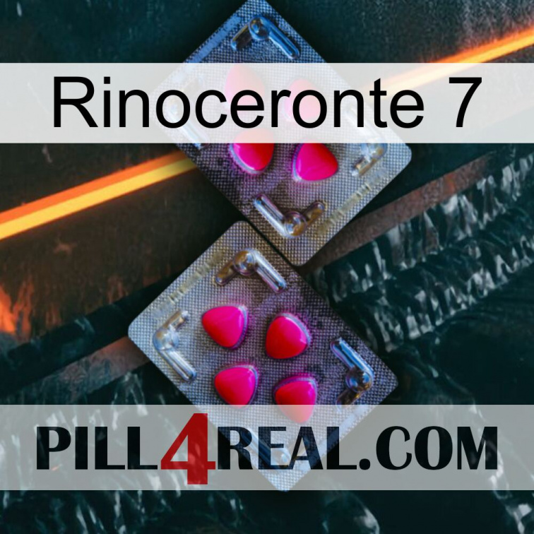 Rhino 7 15
